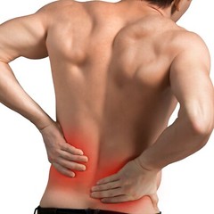 Kidney Warmer Back Waist Abdominal Thermal Sleeve Support Wrap Thin Soft Knitted