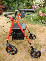 Zenart Mobility Rollator Walker for Seniors Adult with Adjustable Seat, 10″ W