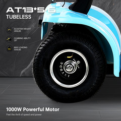 1000W 4-Wheel Heavy Duty Mobility Scooter for Seniors 500lbs 48V/20A 33 Miles