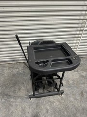 EasyStand 5000 ADULT LARGE Standing Frame easy stand Stander