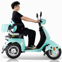 Heavy Duty 4-Wheel Mobility Scooter 31 Miles 3-Speed 800W 500lb Capacity Seniors