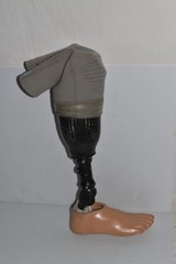 TRULIFE Prosthetic Right Leg AAA224 AAA200 BULLDOG SIZE 25R FI W/SPLIT TOE(PXO2)