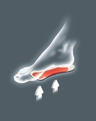 Pedag Deluxe 123 orthotic insole leather pads, gentle arch & metatarsal support