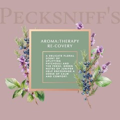 Pecksniff’S Pecksniffs Moisturizing Wash And Lotion Caddy Set – 500