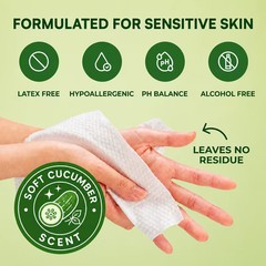 Adult Wipes Extra Large 8×13 inch Wipes for Adults Soft Cucumber Scent 240ct