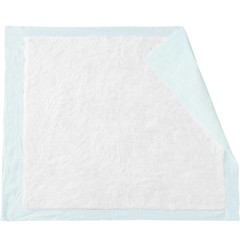 Cardinal Health 10pk Underpads Wings Basic 23×36 Pad Light Absorbency