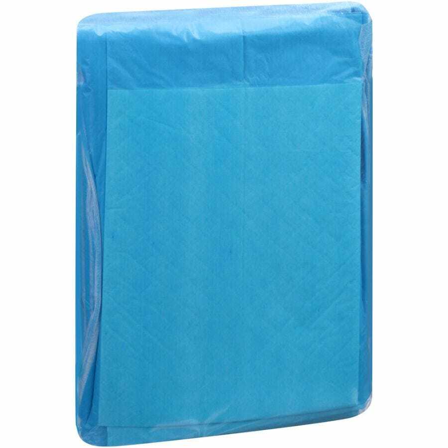 Attends Dri-Sorb Underpad 23“ x 24“ CS/200 #UFS-230