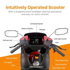 1000W 4-Wheel Heavy Duty Adjustable 2-Seat Electric Power Mobility Scooters