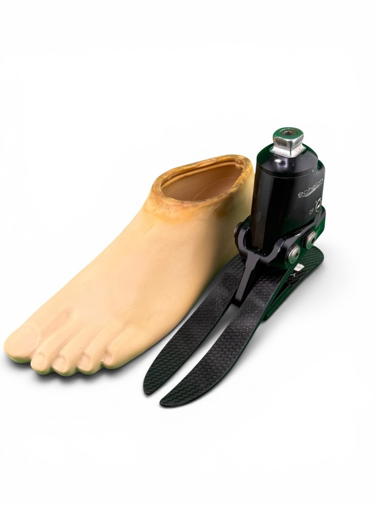 Blatchford echelon prosthetic foot, size 24, left shell, category 4