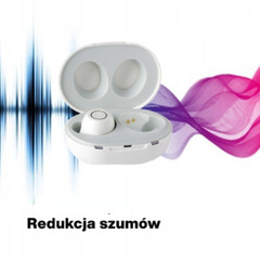 Hearing Aids Amplifier Rechargeable Pair Digital ITE Sound Amplifier Severe Loss