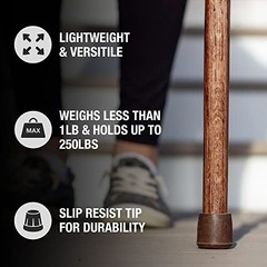 Twisted Oak Walking Cane Crook Handle 37 Inch Wood Mobility Aid Handcrafted