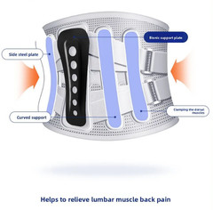 Evorola Support Belt