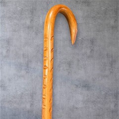 Custom Walking Cane Mobility Self Defense Eyes Solid Hickory Masters LuxCane M16