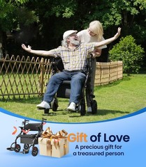 Z59 2 in 1 Heavy Duty Walker Wheelchair Combo Starry Black