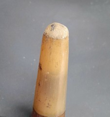 Vintage Boar Tusk Cane / Walking Stick