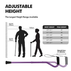 GPTCAMP Walking Cane and Stick for Men 17.32″, -Purple