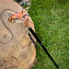 Hand-Painted Fox Walking Cane, Fashion Hand-painted Luxury Walking Stick