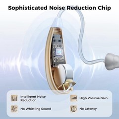 Hearing Aid Model F-Aid4 Hearing the Symphony of Life