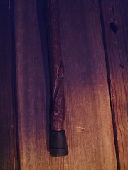 walking stick MOOSE ANTLER TINE handle VINE SPIRALED wood shaft HANDCRAFTED USA