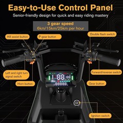 500/1000W Electric Mobility Scooter for Adults with Cargo Platform All Terrain