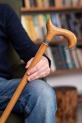 Dr. Watson – Handcrafted Wooden Walking Stick, Walking Cane, Derby Handle