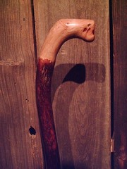 walking stick natural grown ROOT KNOB HANDLE for GOOD sized hands MADE IN USA