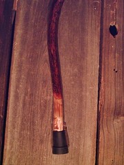 walking stick BLACK WATER BUFFALO handle for smaller sized hands MADE IN THE USA