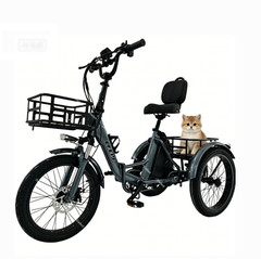 Adult electric tricycle, foldable,with a removable battery,350 W lightweight