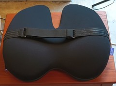 Cushion Lab Extra Dense Lumbar Pillow Black Ergonomic Back Support Cushion