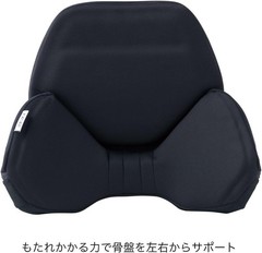 EXGEL HugDrive HUD01-BK Back Cushion Lumbar Support Car Seat JAPAN