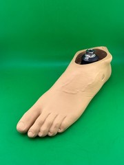 Trulife kinetic edge prosthetic foot. Left. Size 28. Category 3. Great condition