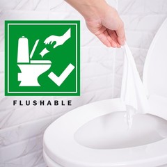 HCS XL Bulk Flushable Wipes for Adults – Travel, Home, Women & Men – Toilet W…