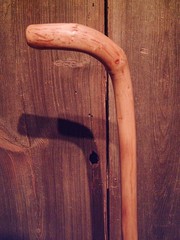walking stick cane natural grown ROOT HANDLE for average size hands MADE IN USA