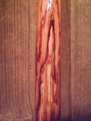 walking stick cane ELK antler handle BRASS collar VERY stiff MAPLE wood shaft