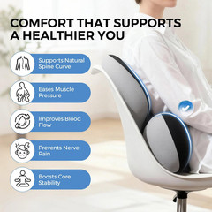 Lumbar Support Pillow for Car, 19.3(L)×5.1(W)×14.2(H) in, Blackgray