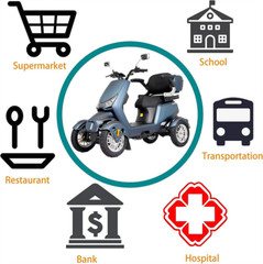 4-Wheels 800W Electric Mobility Scooter 31 Miles Heavy Duty for Seniors 440lbs