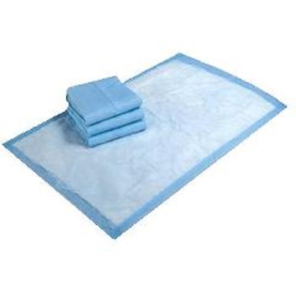 Medline Protection PLUS Economy Incontinence Underpads 23×24″ 200 pads
