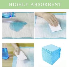 Disposable Underpads 17“ x 24“ (50 -Count) Incontinence Pads, Bed Covers, P…