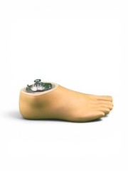 OTTOBOCK Otto Bock 1WR95 Water Prosthetic Foot. Size 25. Right Foot. Excellent
