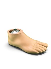OTTOBOCK Otto Bock 1D35 sach Prosthetic Foot. Size 26. Right Foot.