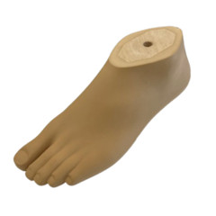 Universal Prosthetic Foot SACH Foot Adapter |Size 12–30 | Beige or Brown |L/R