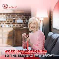 Walking Cane for Men & Women Walking Stick for Seniors Folding Canes Quad Cane A