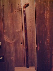 walking stick natural grown ROOT KNOB HANDLE for AVERAGE sized hands MADE IN USA