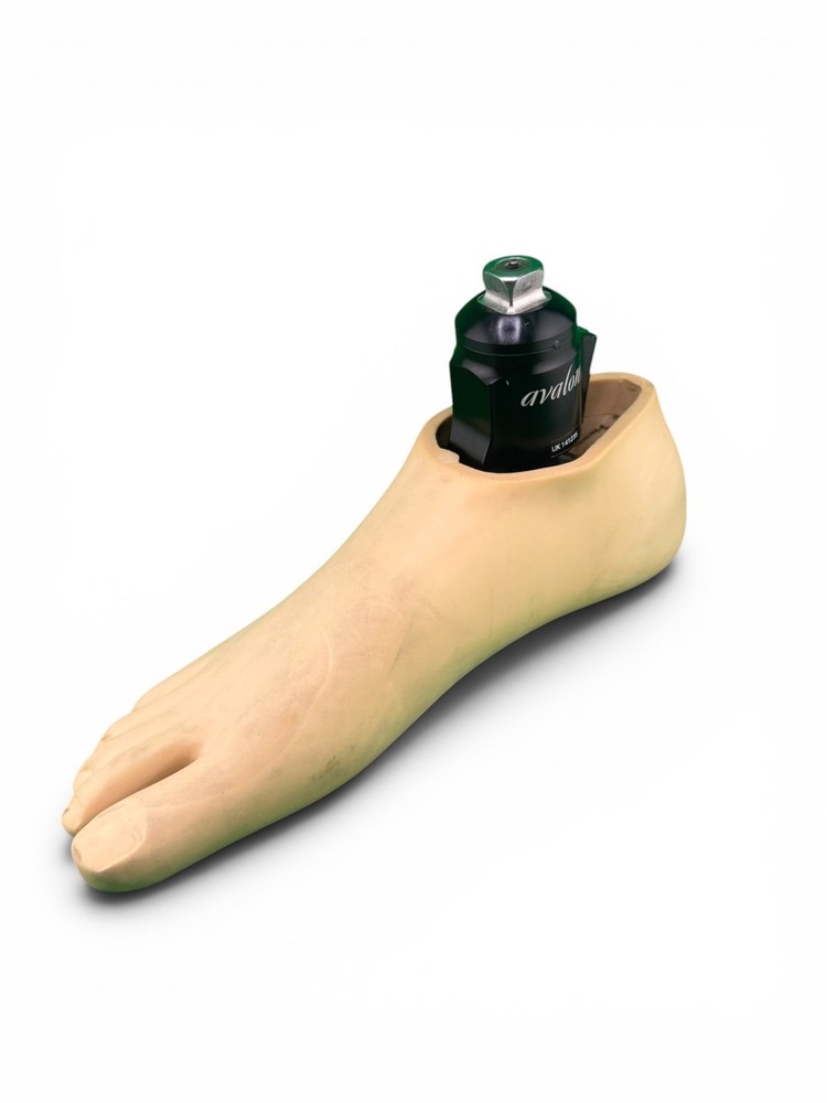 Blatchford Avalon Hydraulic Ankle Prosthetic Foot. Right. Size 26. Great cond
