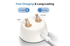 Pair Rechargeable Digital Invisible Hearing Aids Sound Voice Amplifier Mini ITE