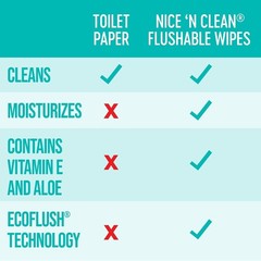 Moisture-Lock Nice ‚N Clean Flushable Wipes | 180 Count for Comfort & Cleansing