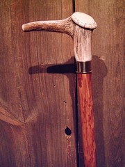 walking stick cane ELK antler handle BRASS collar VERY stiff MAPLE wood shaft
