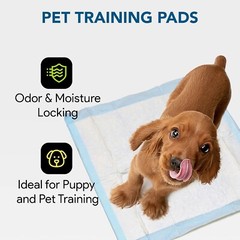 210 Adult Urinary Incontinence Disposable Bed Pee Underpads 23×36 Bed Pads Chux