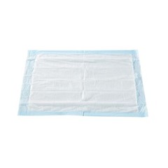 McKesson Underpad, 17 X 24 Inch Disposable Light Absorbency, Case of 300