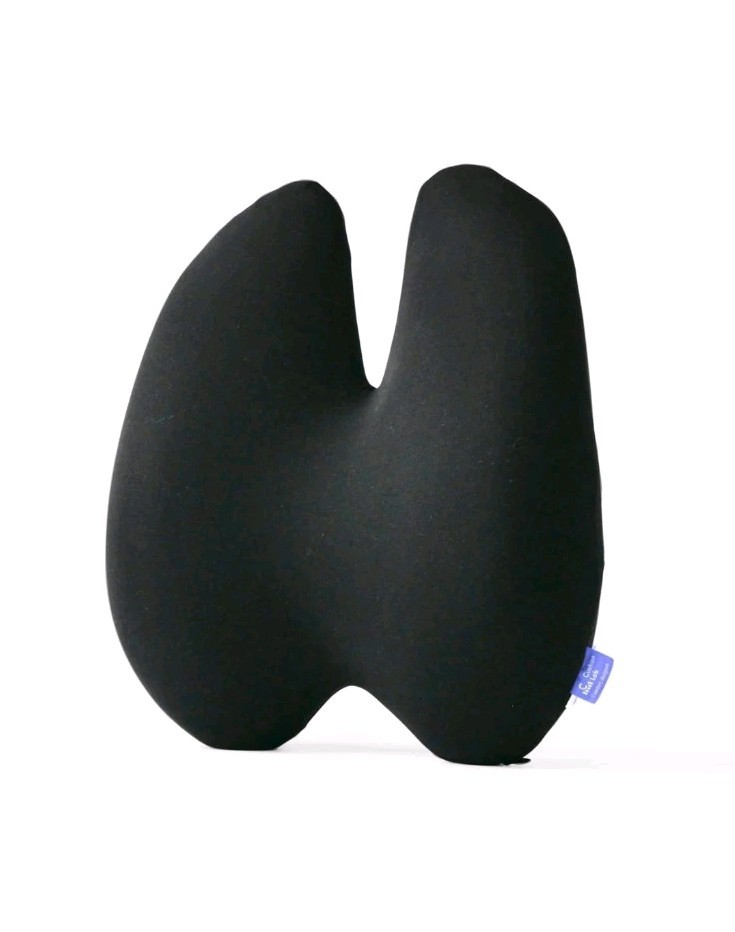 C CUSHION LAB Extra Dense Lumbar Back Pillow Ergonomic Memory Foam, Black